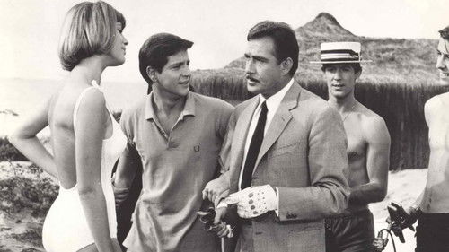 Lockende Unschuld Bild 2