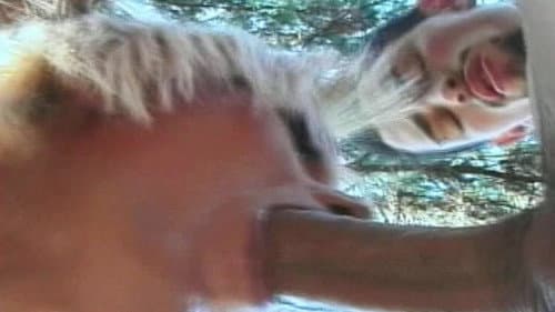 Young Tender Trannies 17 Bild 1