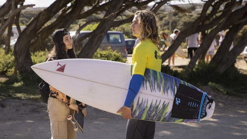 Surviving Summer Bild 5