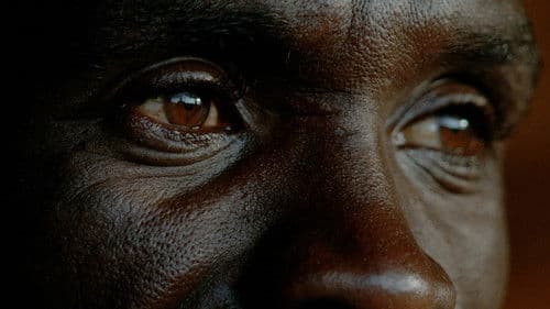 Kipchoge: The Last Milestone Bild 3