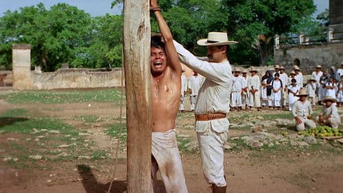 La casta divina Bild 1