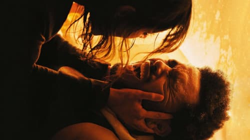 Hurry Up Tomorrow Bild 3