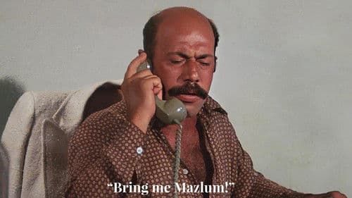 Şark Bülbülü Bild 3