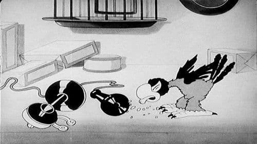 The Bird Store Bild 2