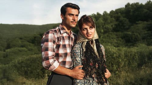 Kaderin Önüne Geçilmez Bild 2