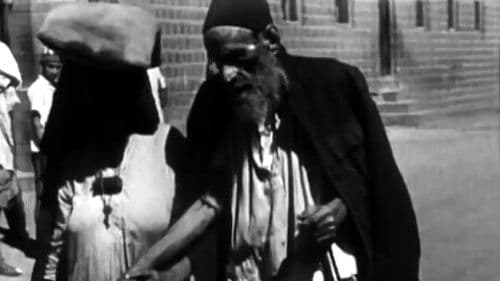 The Silent Exodus Bild 1