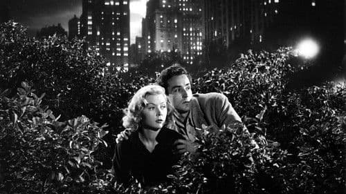 Die gläserne Mauer Bild 2