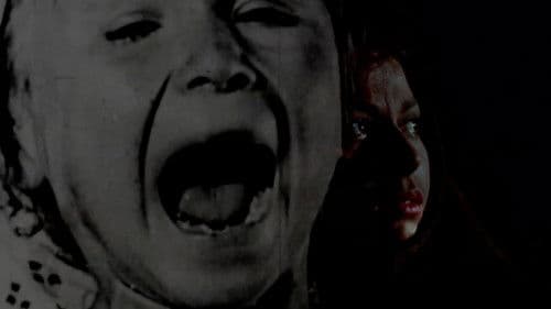 Rostre de primavera Bild 3