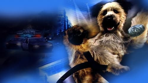 The Karate Dog Bild 1