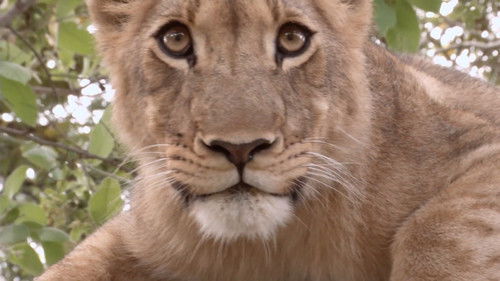 Predator's Playground Bild 5