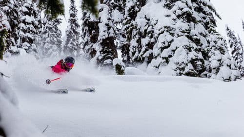 Rogue Elements Bild 1