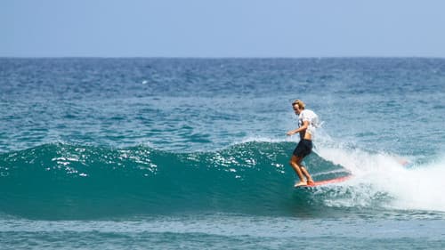 Forbidden Trim Bild 1