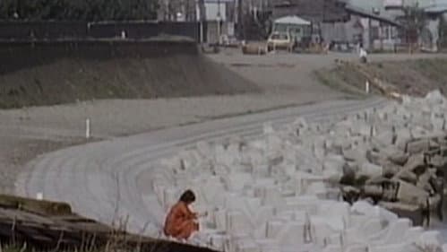 ビニール本の女　密写全裸 Bild 6