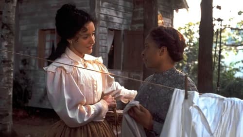 A House Divided Bild 1