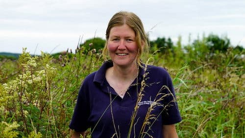 Britain's Most Beautiful Road Bild 1