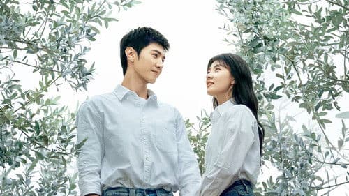 白色橄榄树 Bild 1