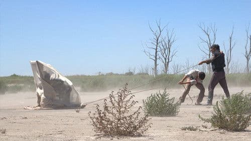 El movimiento Bild 2