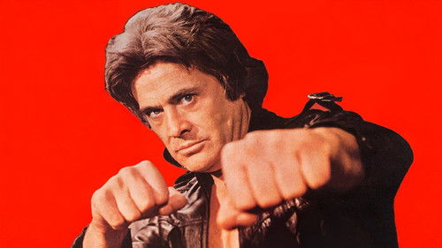 En Büyük Yumruk Bild 1