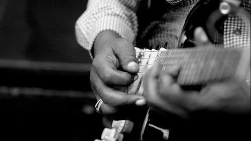 The Rumba Kings Bild 6