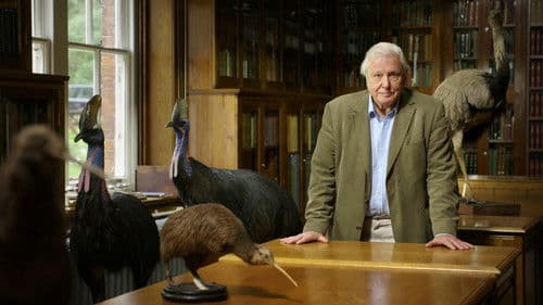 Attenborough's Big Birds Bild 1