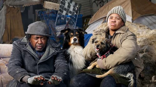 Accidental Friendship Bild 6