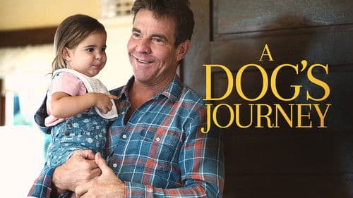 Bailey - Ein Hund kehrt zurück Bild 7