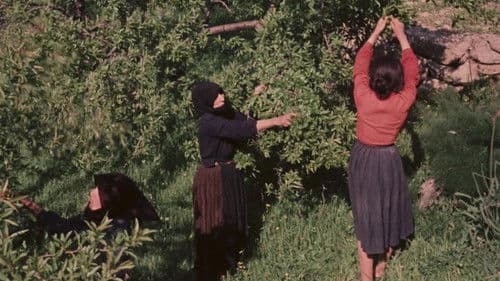 Un giorno in Barbagia Bild 3