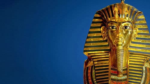 Treasures Decoded – Jäger der verlorenen Schätze Bild 3