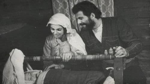 მევლუდი Bild 2