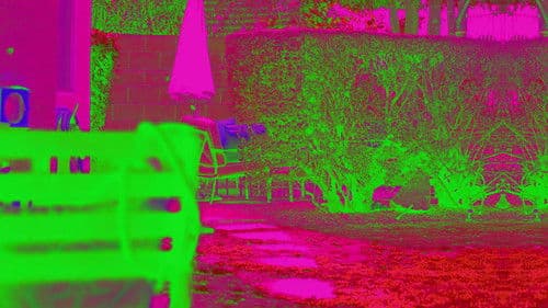 This Must Be My Face Bild 1