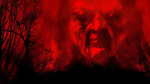 I Will Never Leave You Alone Bild 2