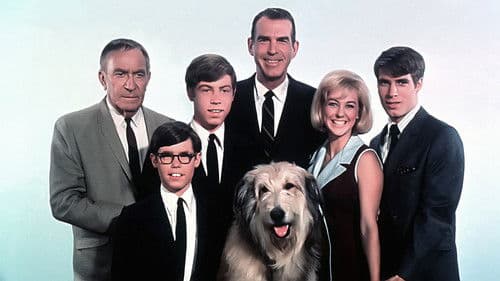 Meine drei Söhne Bild 2