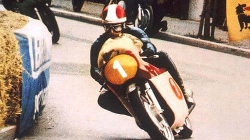 Bolidi sull'asfalto a tutta birra! Bild 1