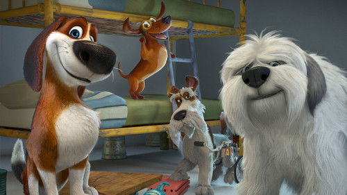 Ozzy - Ein Held auf vier Pfoten Bild 5