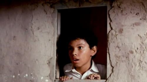 El señor de los pájaros Bild 1