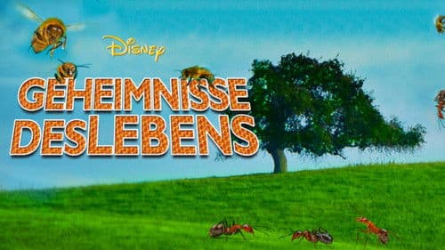 Geheimnisse des Lebens Bild 5