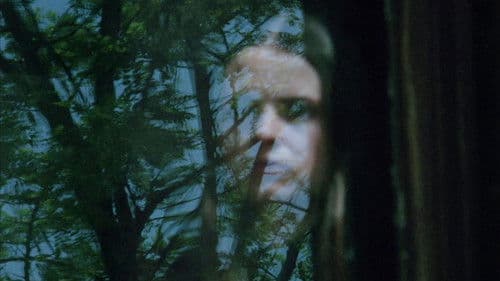 Vampyros Lesbos: Die Erbin des Dracula Bild 8