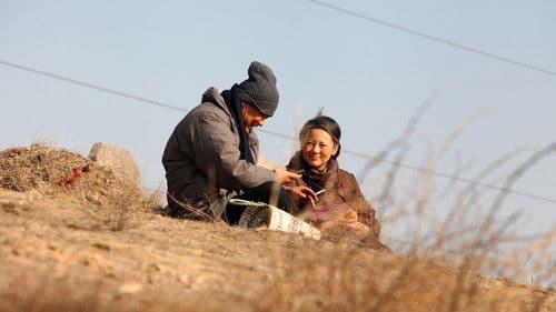 Bis dann, mein Sohn Bild 4