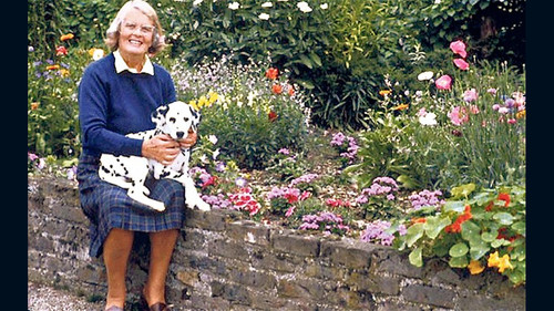 Training Dogs the Woodhouse Way Bild 2