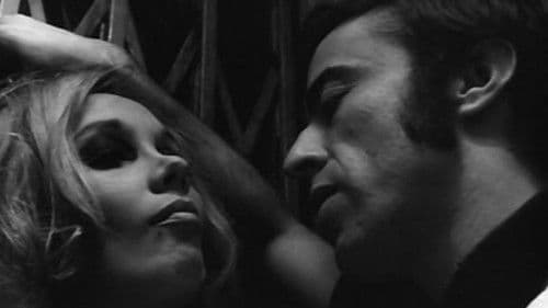 O Bandido da Luz Vermelha Bild 7