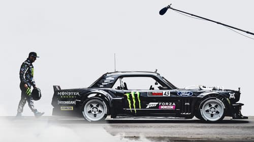 The Gymkhana Files Bild 3