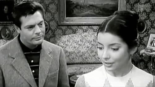 Tutti Innamorati Bild 1