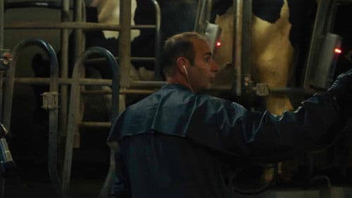 Un été à la ferme - L'âge d'or Bild 7