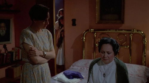 El secreto de Romelia Bild 3