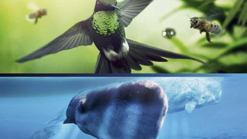 Unsere Erde 2 Bild 8