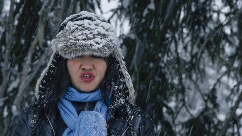 Melody of Noise Bild 3