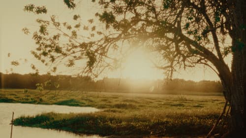 Everywhere I've Been Bild 1