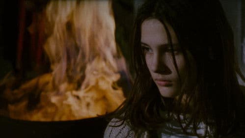 Das weiße Blatt Bild 2