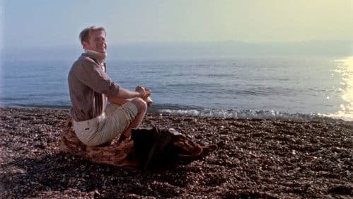 הכוכב הכחול Bild 8