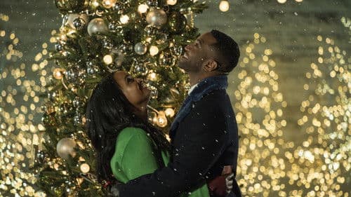 Die magische Weihnachtshochzeit Bild 3